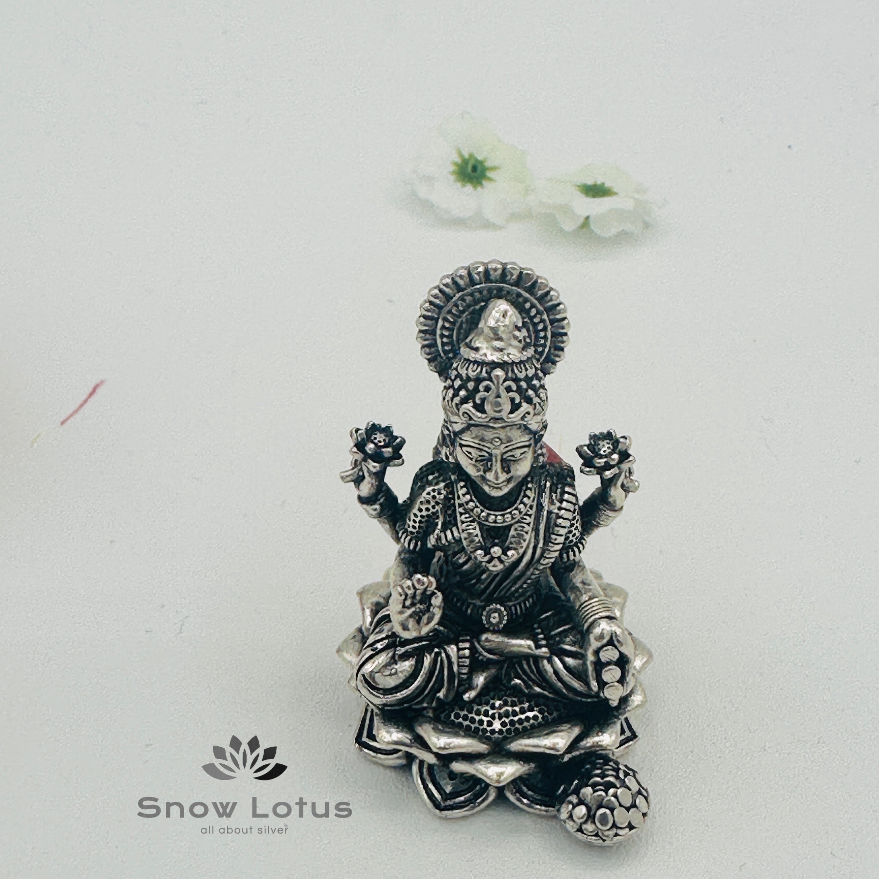 Antique Lakshmi 3D Hallow M3