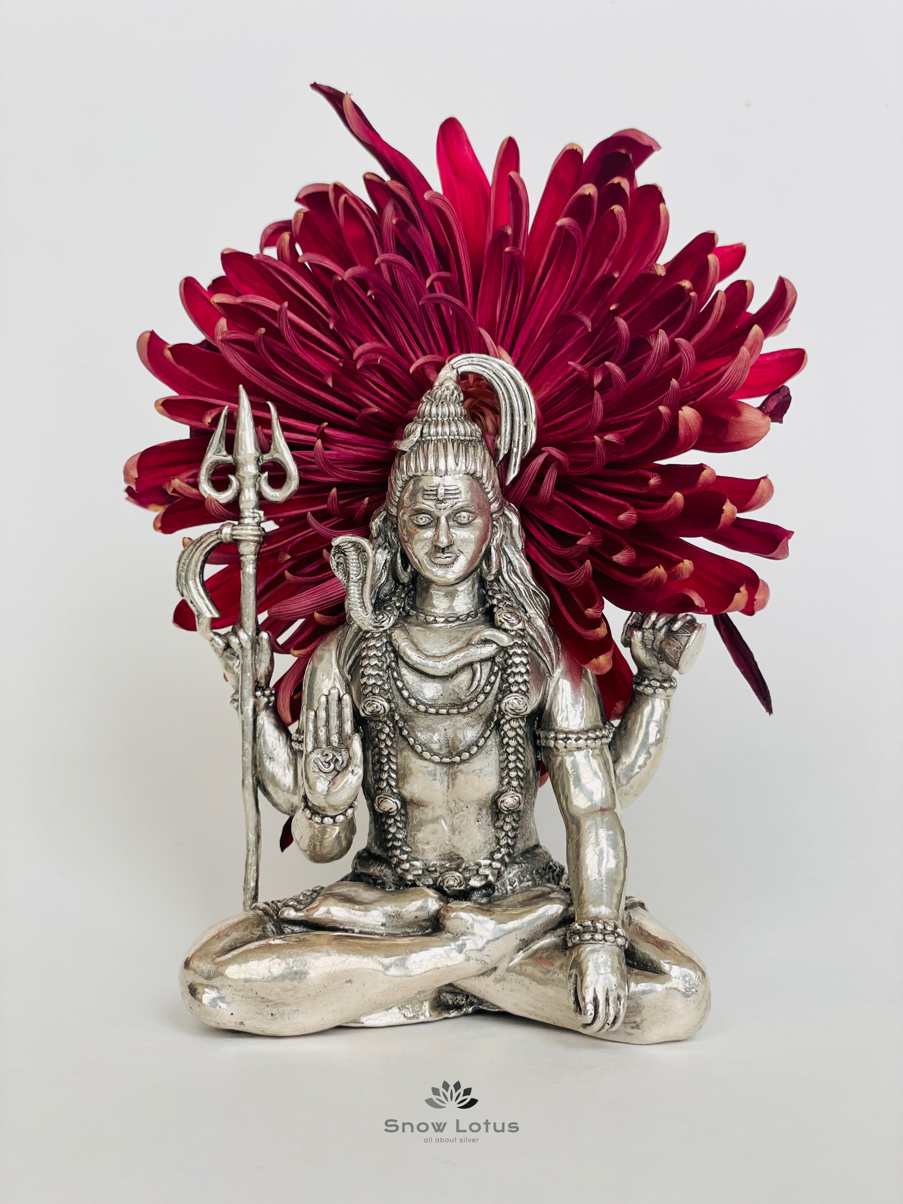 Shiva 3D