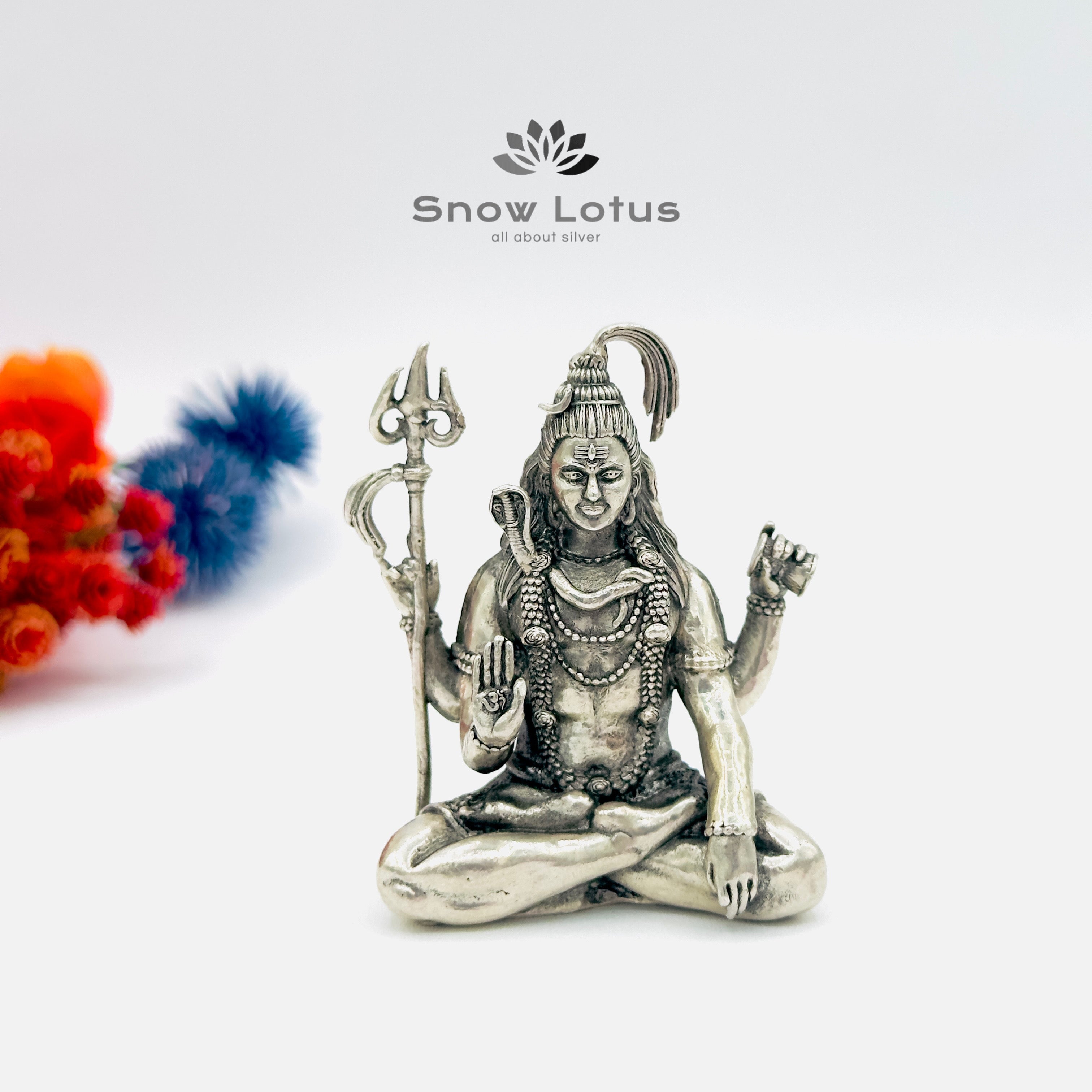 Shiva 3D